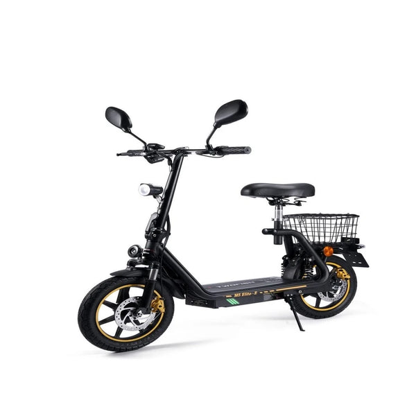 TWOFISH Elite-E EEC E-Scooter, 14 Zoll, 500W, Schwarz