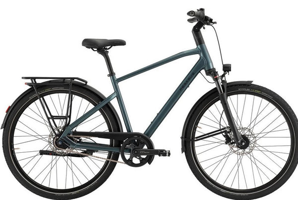Pegasus Cityrad Strong SL 8 Herren, grün, 8 Gang SHIMANO Nexus 8