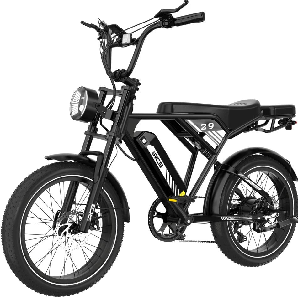 RCB E-Bike RK29 Elektrofahrrad, 20x4,0 Zoll, 40-60KM Reichweite, 624 Wh