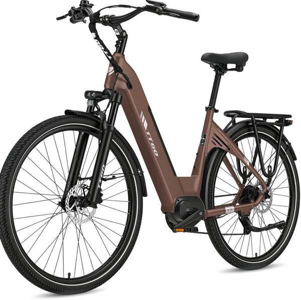 TTGO E-Bike Cityrad 28 Zoll, 75Nm Mittelmotor, 650Wh, Lockout-Federgabel, 9 Gang